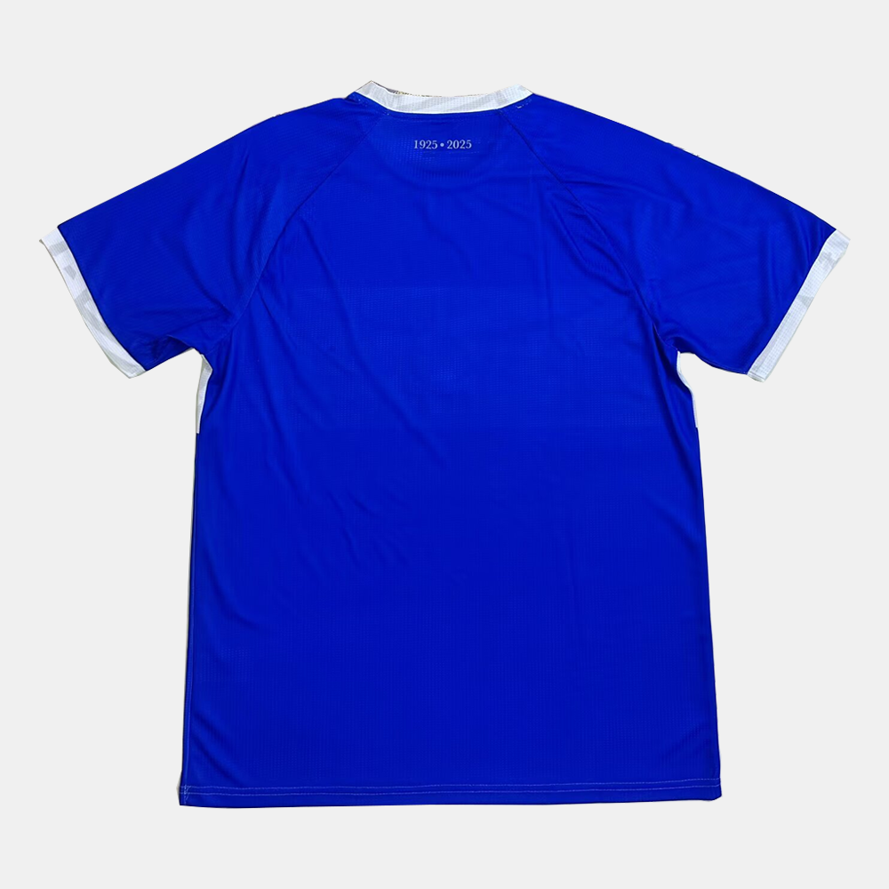 დინამო თბილისის 2025/26 წლის საშინაო ფორმა